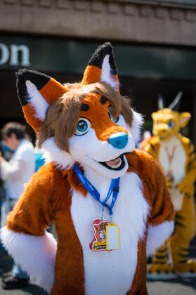 Unknown, Confuzzled 2025