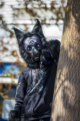 Wayne, Landau Photoshoot 2025-04