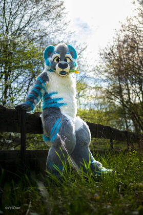 Peachy, Landau Photoshoot 2025-04