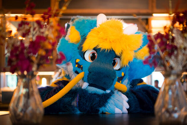 Quark, Confuzzled 2025