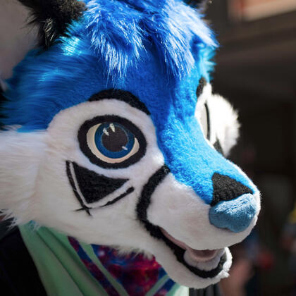 Karlsruhe Fursuit Walk June 2025