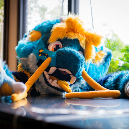 Confuzzled 2025
